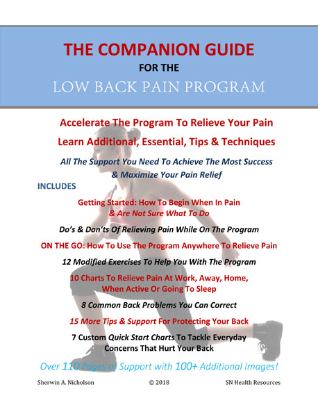 companion-guide-to-the-low-back-pain-program-cover-1