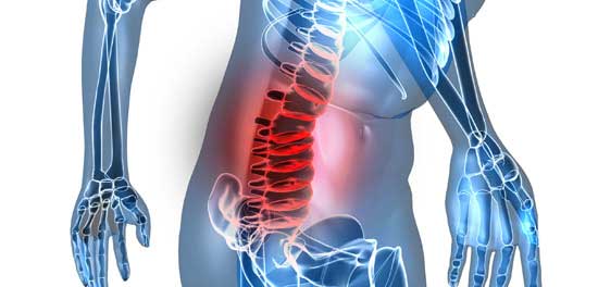 Stop back spasms with this exercise – Low Back Pain Program