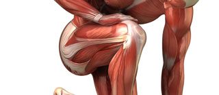 weak gluteal muscles