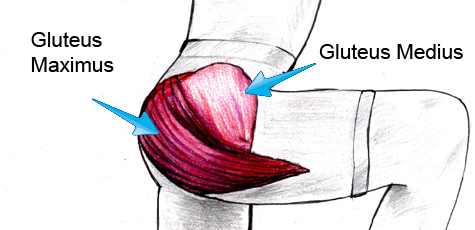 Weak outlet buttock muscles