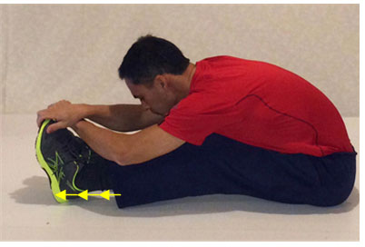 Seated Hamstring Stretch