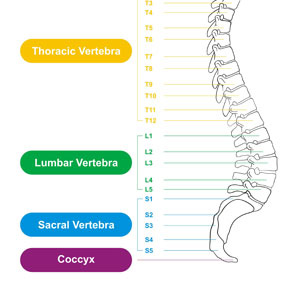 degenerative disc disease and lower back pain