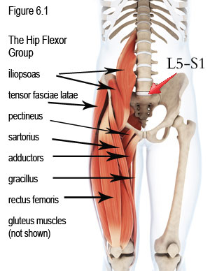 Tight hip flexors cause lower back pain sale